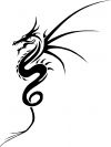 tribal tattoo pics on dragon